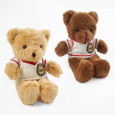 М`яка іграшка M 18576 (120) 2 види, “Ведмедик”, висота: 30 см, светр знімається