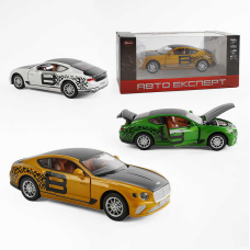 Машина TX 10355 (48/2) “Авто Експерт“, 3 кольори, металопластик, масштаб 1:22, світло, звук, інерція, відчиняються двері, багажник та капот, в коробці, ВИДАЄТЬСЯ ТІЛЬКИ МІКС ВИДІВ