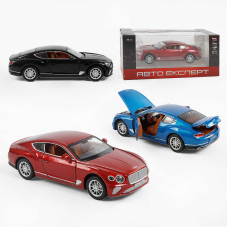 Машина TX 41120 (48/2) “Авто Експерт“, 3 види, металопластик, масштаб 1:22, світло, звук, інерція, відчиняються двері, багажник та капот,в коробці, ВИДАЄТЬСЯ МІКС ВИДІВ