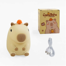 Нічник C 69801 (48) 3 режими, USB Type-C, силіконовий, в коробці