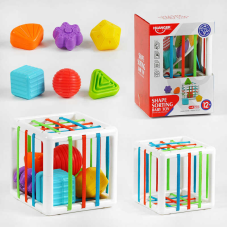 Розвиваюча гра HE 0222 (48/2) сортер, 6 елементів, в коробці