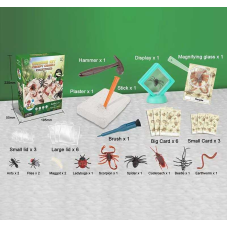 Розкопки G 504 (36) “Комахи”, гіпсовий блок, інструменти, лупа, картки, в коробці