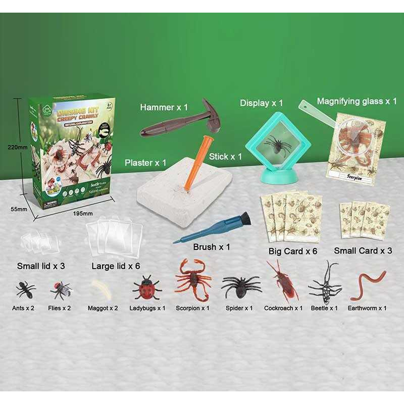 Розкопки G 504 (36) “Комахи”, гіпсовий блок, інструменти, лупа, картки, в коробці