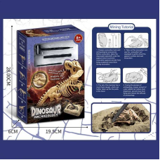 Розкопки KL 44 (60) гіпсовий блок, інструменти, в коробці