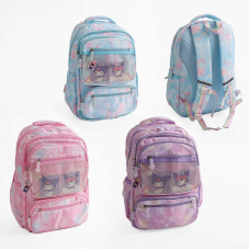 Рюкзак C 72831 (50) 3 види, розміри: 30х17х45 см, 2 відділення, 6 кишень, на блискавці, в пакеті, ВИДАЄТЬСЯ МІКС ВИДІВ