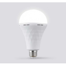 Світлодіодна лампа C 72053 (100) 20 W, з цоколем, холодне світло, працює від мережі та від вбудованого акумулятора, в коробці