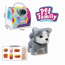 Улюбленець CH 6009 G (72/2) ходить, звуки, переноска, муляжі їжі, у боксі