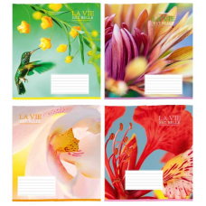 гр Зошит “Гарні квіти“ 18 арк., 18-К-161 клітинка ЦІНА ЗА 32 ШТУКИ В УПАКОВЦІ (1) ВИДАЄТЬСЯ МІКС ВИДІВ