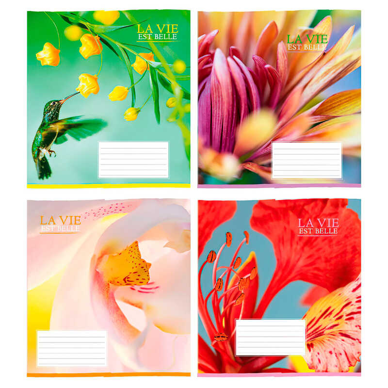 гр Зошит “Гарні квіти“ 18 арк., 18-Л-161 лінія ЦІНА ЗА 32 ШТУКИ В УПАКОВЦІ (1) ВИДАЄТЬСЯ МІКС ВИДІВ