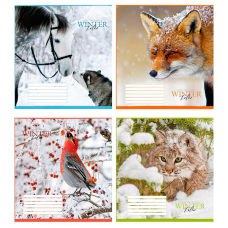 гр Зошит “Тварини взимку“ 24 арк., 24-Л-718 лінія ЦІНА ЗА 20 ШТУК В УПАКОВЦІ (1) ВИДАЄТЬСЯ МІКС ВИДІВ