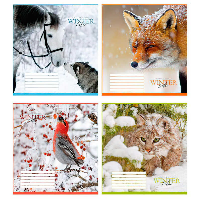 гр Зошит “Тварини взимку“ 24 арк., 24-Л-718 лінія ЦІНА ЗА 20 ШТУК В УПАКОВЦІ (1) ВИДАЄТЬСЯ МІКС ВИДІВ