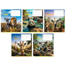 гр Зошит учнівський “Школярик“ 012-3472L 12 арк.,ВД-лак, у лінію ЦІНА ЗА 30 ШТУК В УПАКОВЦІ  (1) ВИДАЄТЬСЯ МІКС ВИДІВ