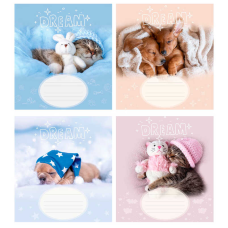 гр Зошит “Солодкий сон“ 12 арк., 12-Л-966 лінія, ЦІНА ЗА 32 ШТУКИ В УПАКОВЦІ (1) ВИДАЄТЬСЯ МІКС ВИДІВ