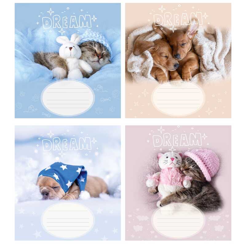 гр Зошит учнівський повноколірний “Солодкий сон“ 12 арк., 12-С-966 коса лінія, ЦІНА ЗА 32 ШТУКИ В УПАКОВЦІ (1) ВИДАЄТЬСЯ МІКС ВИДІВ