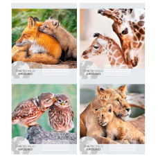 гр Зошит “Тварини 2“ 12 арк., 12-Л-964 лінія ЦІНА ЗА 32 ШТУКИ В УПАКОВЦІ (1) ВИДАЄТЬСЯ МІКС ВИДІВ