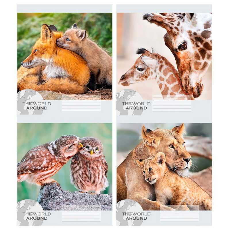 гр Зошит “Тварини 2“ 12 арк., 12-Л-964 лінія ЦІНА ЗА 32 ШТУКИ В УПАКОВЦІ (1) ВИДАЄТЬСЯ МІКС ВИДІВ