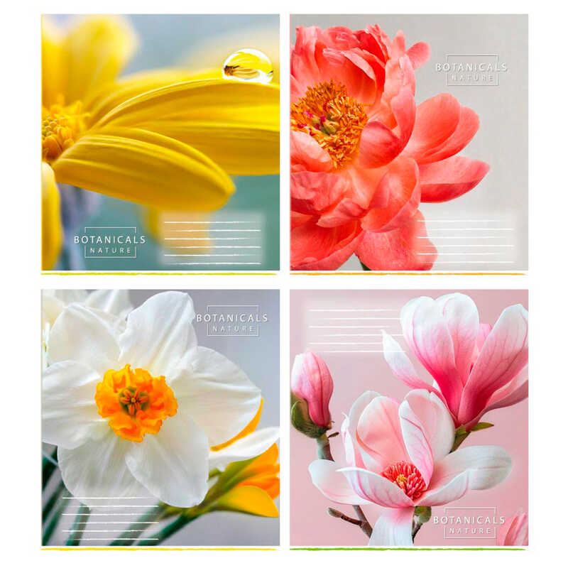 гр Зошит учнівський повноколірний загальний “Квіти“ 48 арк., 48-Л-159 лінія, ЦІНА ЗА 16 ШТУК В УПАКОВЦІ (1) ВИДАЄТЬСЯ МІКС ВИДІВ