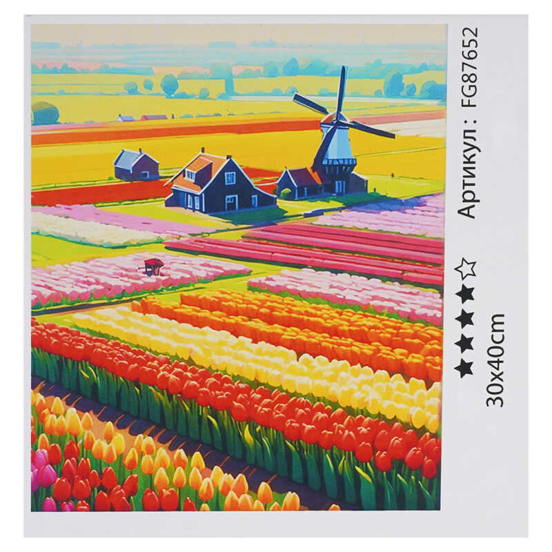 гр Картина за номерами FG 87652 (30) “4FUN Game Club“, 30х40 см, в коробці