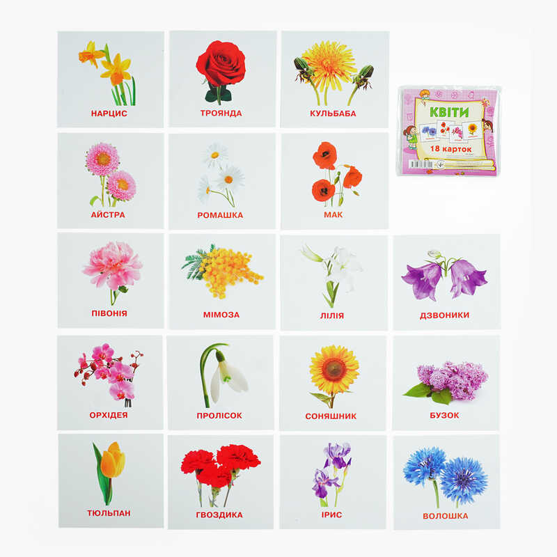 гр Картки міні (18 карток) “Квіти“ 9789669753694 (40) “Jumbi“