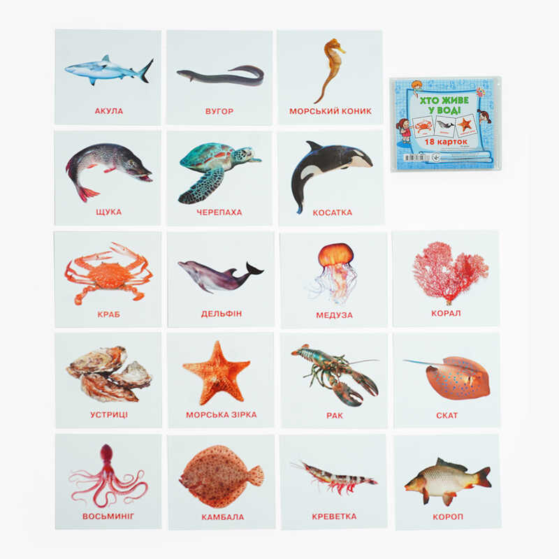 гр Картки міні (18 карток) “Хто у воді живе“ 9789669754868 (40) “Jumbi“