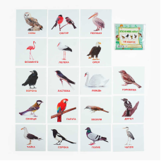 гр Картки міні (18 карток) “Хто у небі літає“ 9789669753700 (40) “Jumbi“