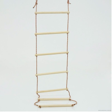 гр Сходи 199 (20) дерево бук