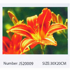 Алмазна мозаїка JS 20009 (50) “TK Group“, “Квіти“, 30х20 в коробці