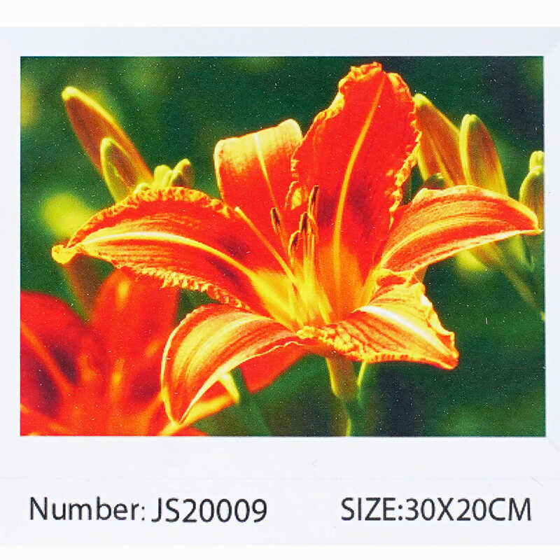 Алмазна мозаїка JS 20009 (50) “TK Group“, “Квіти“, 30х20 в коробці