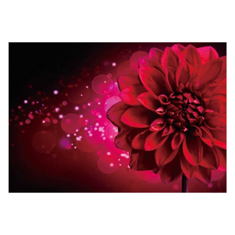 Алмазна мозаїка JS 20464 (50) “TK Group“, “Фентезі“, 30х20 в коробці Алмазна мозаїка JS 20464 (50) “TK Group“, “Фентезі“, 30х20 в коробці