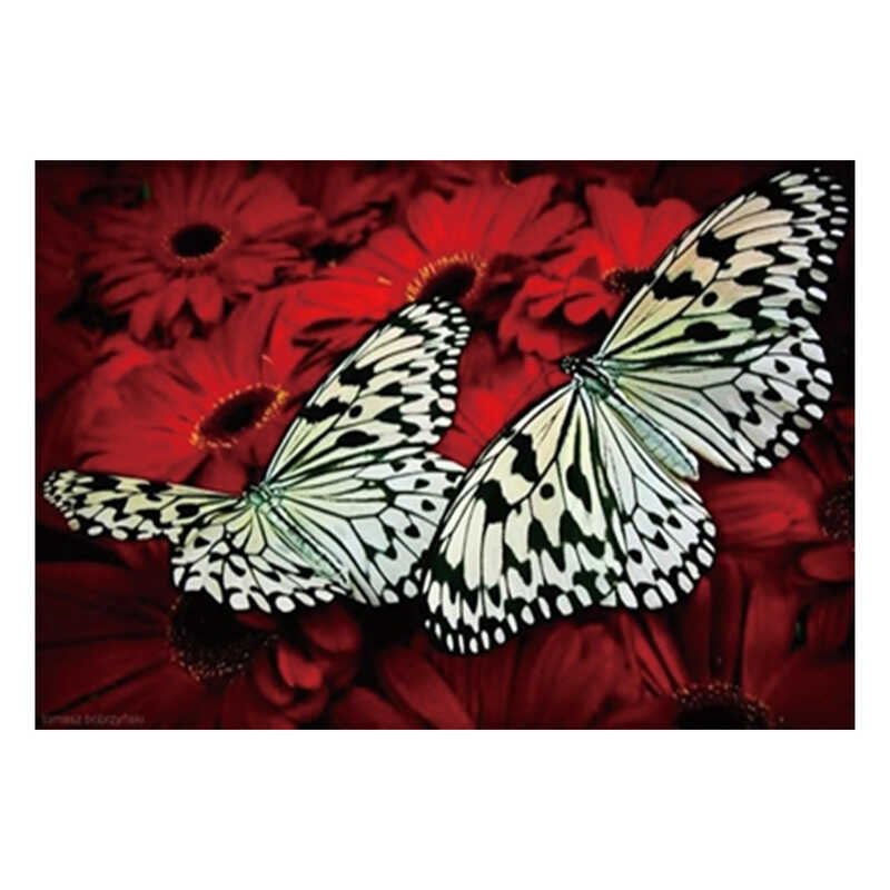 Алмазна мозаїка JS 20466 (50) “TK Group“, “Метелики“, 30х20 в коробці Алмазна мозаїка JS 20466 (50) “TK Group“, “Метелики“, 30х20 в коробці