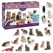 гр Набір магнітів “Породи котів” ML4031-13 EN (24) “Magdum“, англ. мова, у коробці