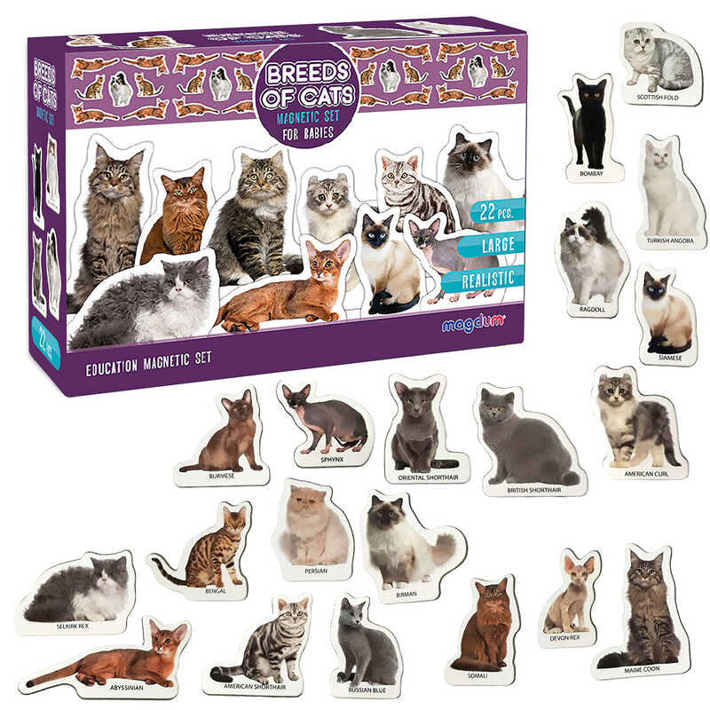 гр Набір магнітів “Породи котів” ML4031-13 EN (24) “Magdum“, англ. мова, у коробці