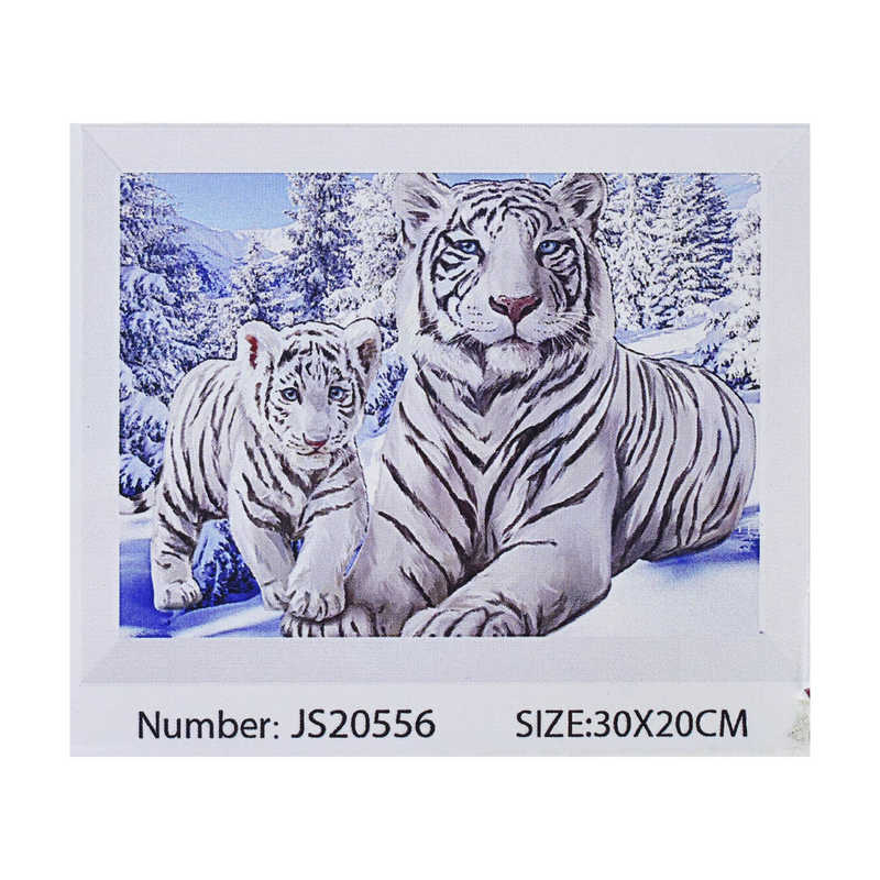 Алмазна мозаїка JS 20556 (50) в коробці 30х20