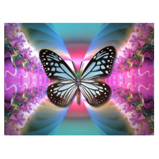 Алмазна мозаїка JS 24645  (50) “TK Group“, “Метелики“, 30х20 в коробці