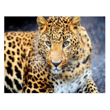 Алмазна мозаїка JS 25464 (50) “TK Group“, “Тварини“, 30х20 в коробці