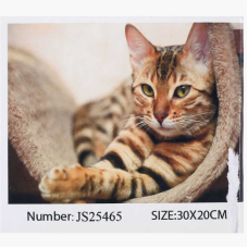 Алмазна мозаїка JS 25465 (50) “TK Group“, 20х30 см, в коробці