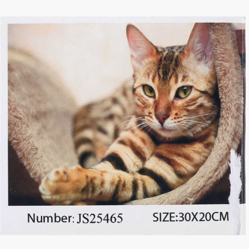 Алмазна мозаїка JS 25465 (50) “TK Group“, 20х30 см, в коробці