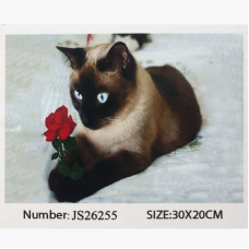 Алмазна мозаїка JS 26255 (50) “TK Group“, 20х30 см, в коробці