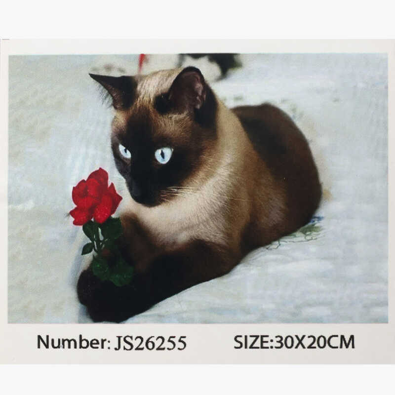 Алмазна мозаїка JS 26255 (50) “TK Group“, 20х30 см, в коробці