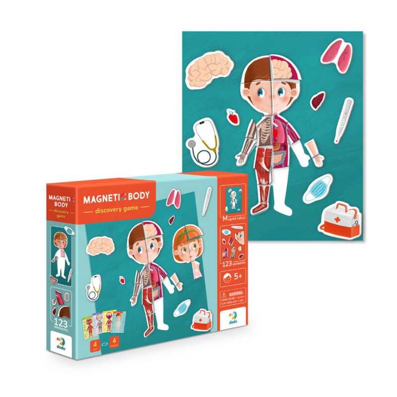 гр Розвивальна магнітна гра “Людське тіло“ 200220 (10) 123 елементи “Dodo“