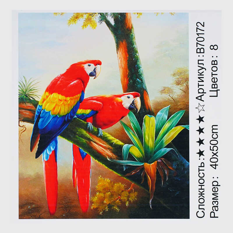 Картина за номерами + Алмазна мозаїка B 70172 (30) “TK Group“, 40х50 см, “Папуги“, в коробці