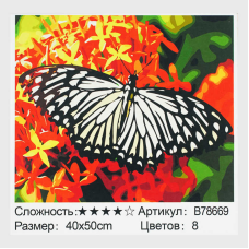 Картина за номерами + Алмазна мозаїка B 78669 (30) “TK Group“, 40x50 см, “Метелик”, в коробці