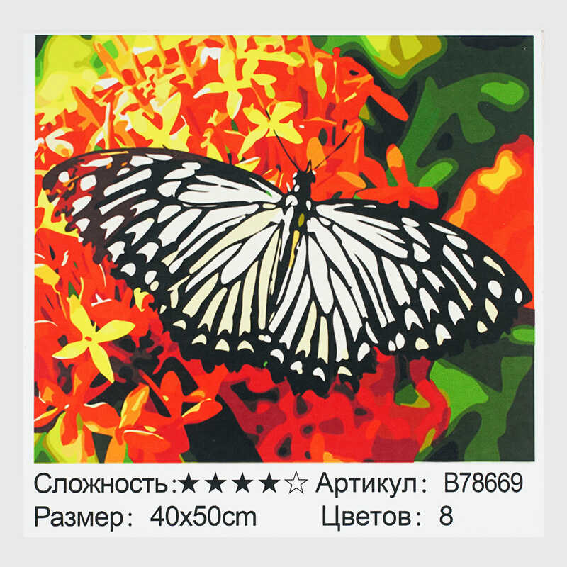Картина за номерами + Алмазна мозаїка B 78669 (30) “TK Group“, 40x50 см, “Метелик”, в коробці