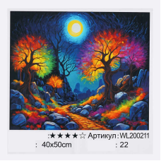 Картина за номерами WL 200211 (30) “WToys“, 40х50 см, світиться у темряві, в коробці