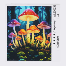 Картина за номерами WL 200238 (30) “WToys“, 40х50 см, світиться у темряві, в коробці