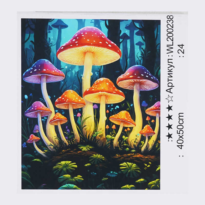 Картина за номерами WL 200238 (30) “WToys“, 40х50 см, світиться у темряві, в коробці