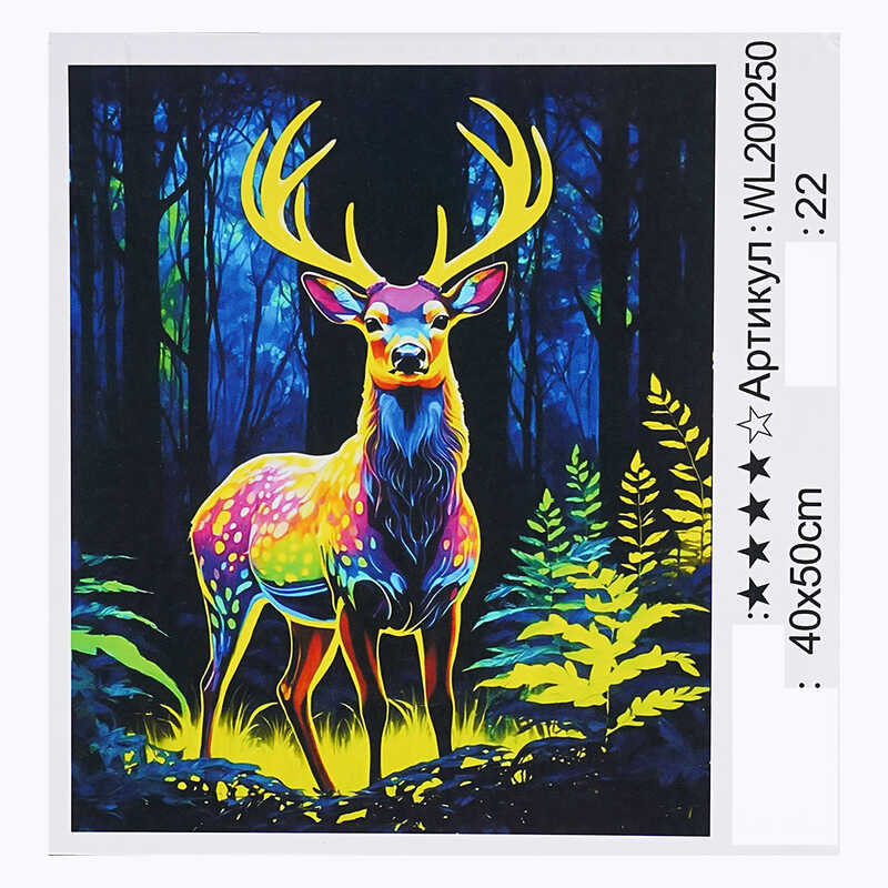 Картина за номерами WL 200250 (30) “WToys“, 40х50 см, світиться у темряві, в коробці