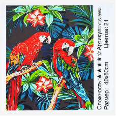 Картина за номерами YCGJ 36861 (30) “TK Group“, 40х50 см, “Папуги”, в коробці