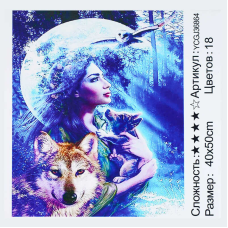 Картина за номерами YCGJ 36864 (30) “TK Group“, 40х50 см, “Відьма”, в коробці