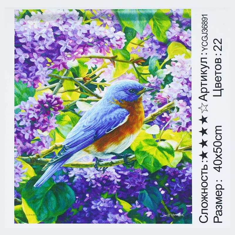 Картина за номерами YCGJ 36891 (30) “TK Group“, 40х50 см, “Пташка”, в коробці